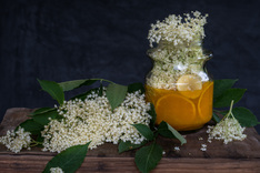 Spritzig, prickelnd - Holunderblütengelee mit Orangennote