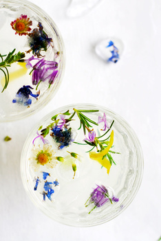 Rosemary Gin Fizz with Flower Ice Cubes
